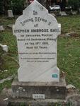 BALL Stephen Ambrose -1918