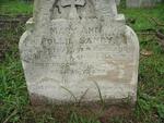 SANBY Mary Ann Pollie -1894