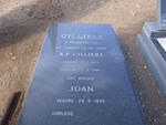 CILLIERS A.F. 1923-1995 & Joan 1930-