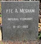 MESHAM A. -1900