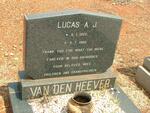 HEEVER Lucas A.J., van den 1922-1980