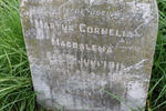 VENTER Martha Cornelia Magdalena 1911-1911