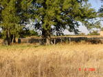 Gauteng, CULLINAN district, Rayton, Kaalfontein 513, farm cemetery_1