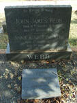 WEBB John James 1870-1945 :: WEBB Annie Caroline 1871-1960 :: WEBB Joyce Aldyth -1981 :: WEBB Joyce Aldyth 1897-1981 