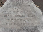 READ Henry Edward 1856-1882
