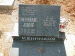 KEHRHAHN Herman Jurie 1960-1992