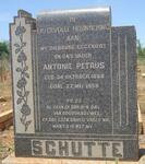 SCHUTTE Antonie Petrus 1888-1956