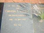 ZYL Cornelia C., van nee SCHUTTE 1898-1969