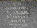 CILLIERS N.G. nee PRINSLOO 1888-1930
