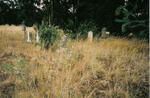 Mpumalanga, ERMELO district, Van Oudshoorn Stroom 261, farm cemetery