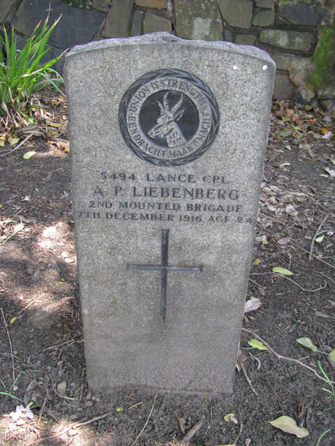 LIEBENBERG A.P. -1916