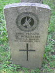 WILLIAMS W. -1917