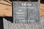 PALVIE Jan Johannes 1941-2007