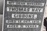 GIBBONS Thomas Hay -1918