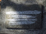 LUBBE Sophia Carolina 1890-1964