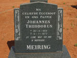 MEIRING Johannes Theodorus 1901-1973