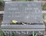 WESSELS Koos 1899-1963 & Drienie 1897-1975