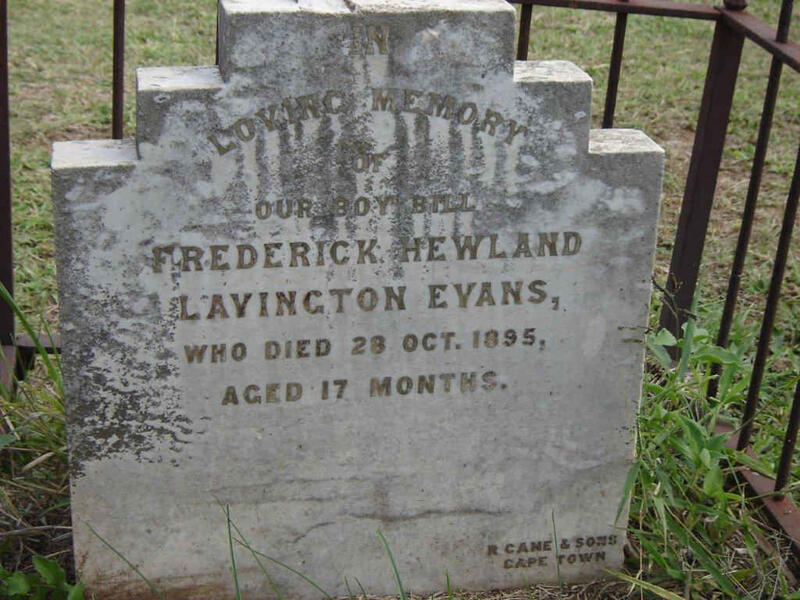 EVANS Frederick Hewland Lavington -1895