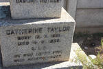 TAYLOR Catherine 1881-1956 