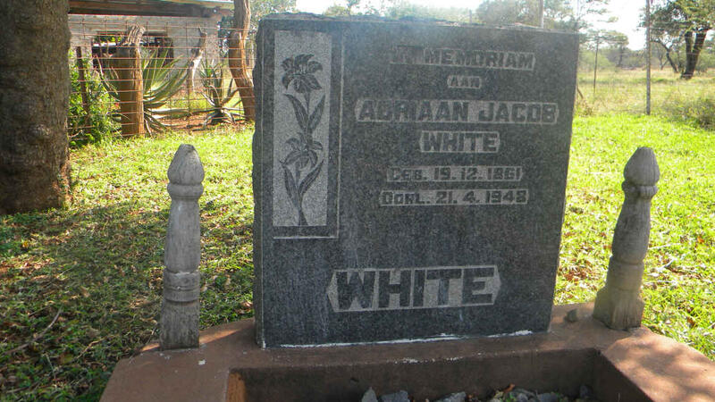 WHITE Adriaan Jacob 1861-1948