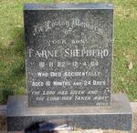 SHEPHERD Farne 1982-1984