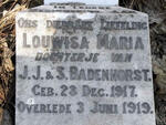 BADENHORST Louwisa Maria 1917-1919