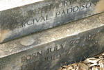 PADDISON Percival 1874-1908