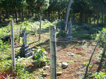 1. Overview of graves in Cwencwe Forest.