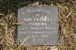 HARDING Ann Francis -1882