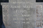 FLUGEL Alwine Marie nee TESSENDORF 1875-1961