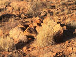 Namibia, ERONGO region, Daures, Brandberg, San grave