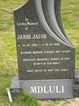 MDLULI Jabhi Jacob 1956-2009