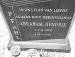 PFAHL Abraham Hendrik 1928-1979