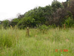 Mpumalanga, BALFOUR district, Lagerspoort, Malanskraal 407, farm cemetery_2