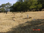 Mpumalanga, BALFOUR district, Lagerspoort, Malanskraal 407, farm cemetery_6