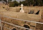 Free State, REITZ district, Outuin 665, farm cemetery