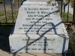 WELLS Harry B. -1926 & Margaret A. 1861-1948 :: WELLS Edward Ronald -1946