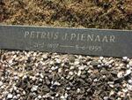 PIENAAR Petrus J. 1897-1955
