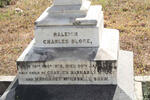 BLORE Raleigh Charles 1872-1896
