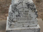 PHELPS Lucy Ann nee GAVIN 1886-1917