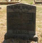 HENRICO Hendrik J. 1913-1932 :: HENRICO Hermanus S. 1928-1931