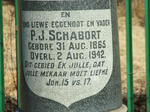 SCHABORT P.J. 1865-1942