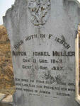 MULLER Anton Michael 1842-1933