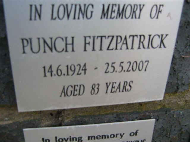 FITZPATRICK Punch 1924-2007