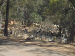Limpopo, BOLOBEDU district, Rural (farm cemeteries)