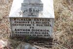 ? Wilhelm Anthon 1877-1885 :: ? Anthon Diderich 1884-1887