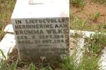 WILKE Brumma 1941-1945