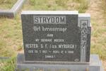 STRYDOM Hester S.F. nee MYBURGH 1912-1986