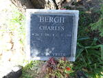 BERGH Charles 1943-1998