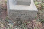 WIGGETT Infant son 1892-1892 :: WIGGETT Ivy E. 1895-1895 